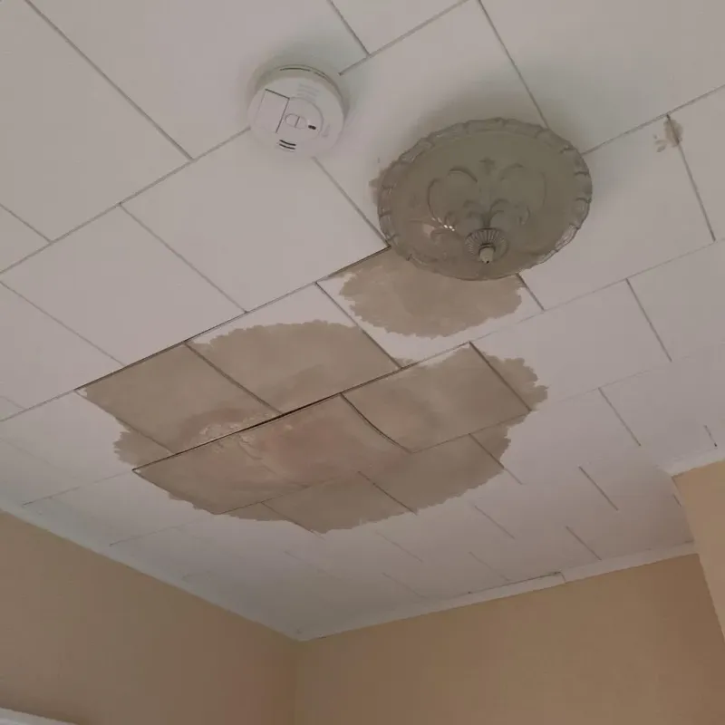 Ceiling Water Damage Repair in Plainview, NE