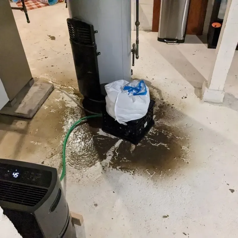 Sewage Backup Cleanup Service in Plainview, NE